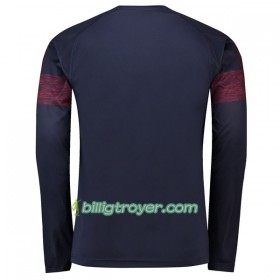 Billige Fotballdrakter Arsenal Bortedraktsett 2018/19 Langermet